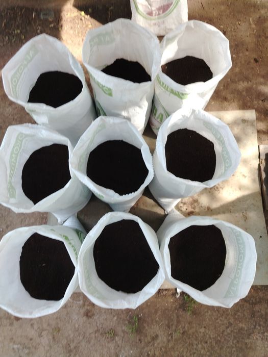 Чернозем горный рыхлый просеянный