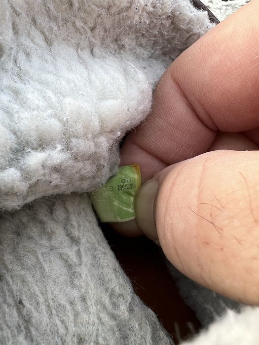 Timberland Brown 45 6 inc