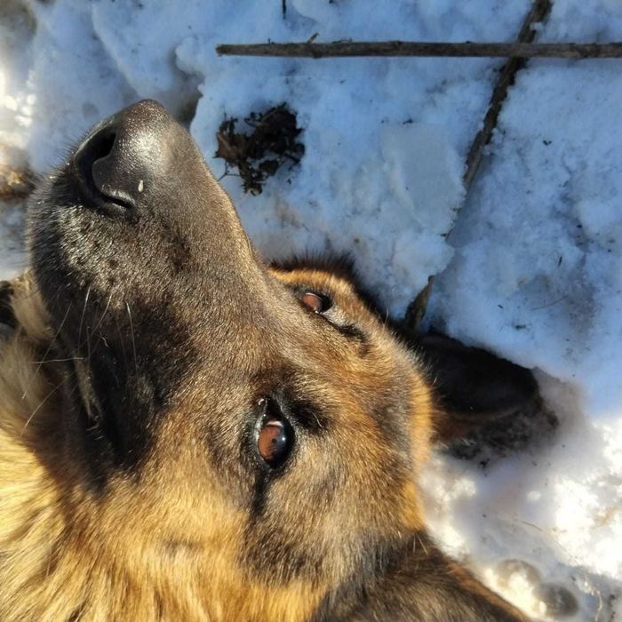 Вязка кабель немец