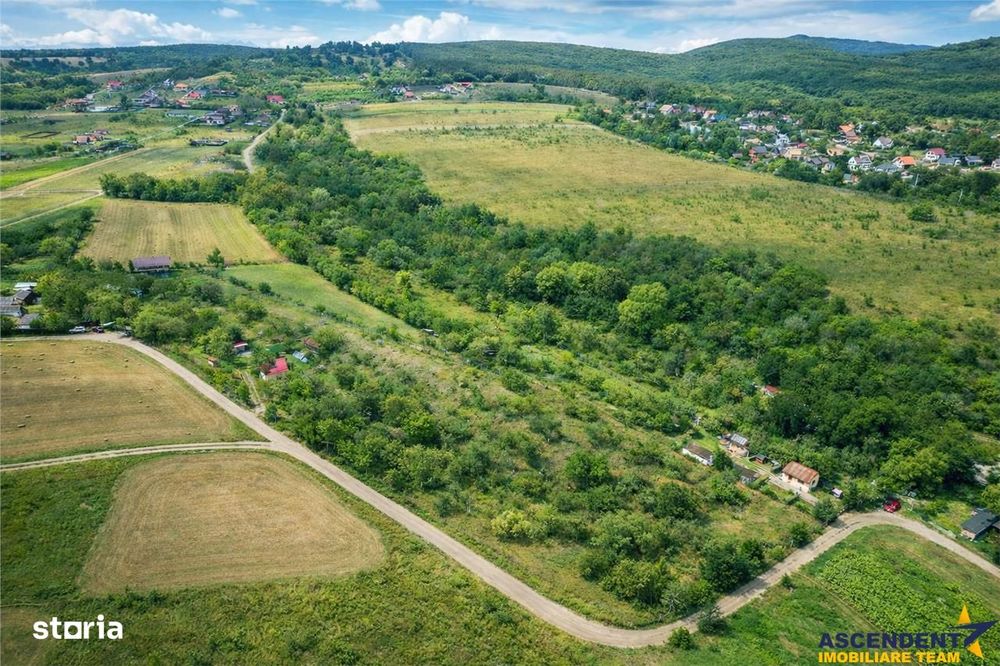 FILM! Confortabila ariere, 4.500 mp, arbori roditori, Sancraiu,Covasna