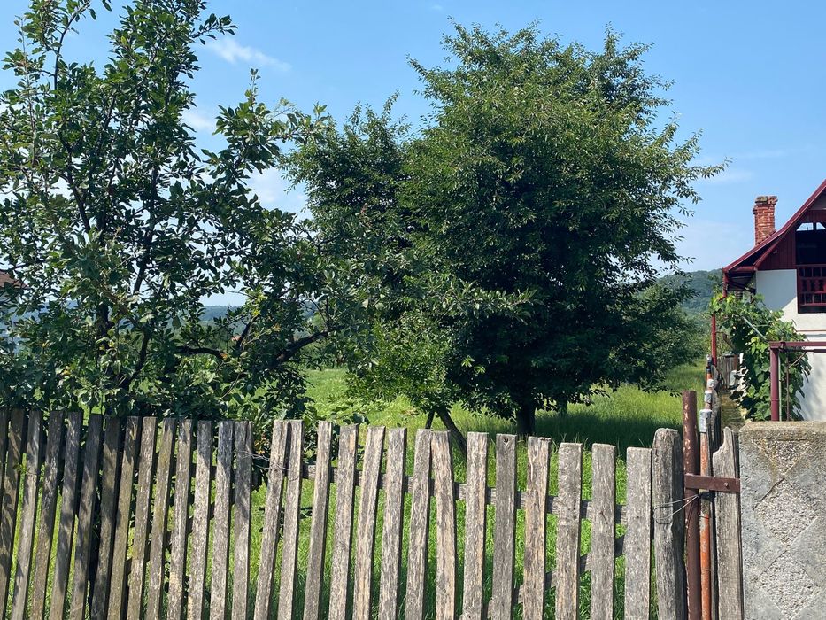 Vanzare teren Albestii Pamanteni 2640 mp