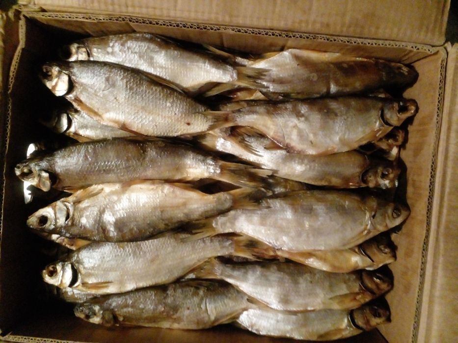 Ревец   Лещ  Чехонь