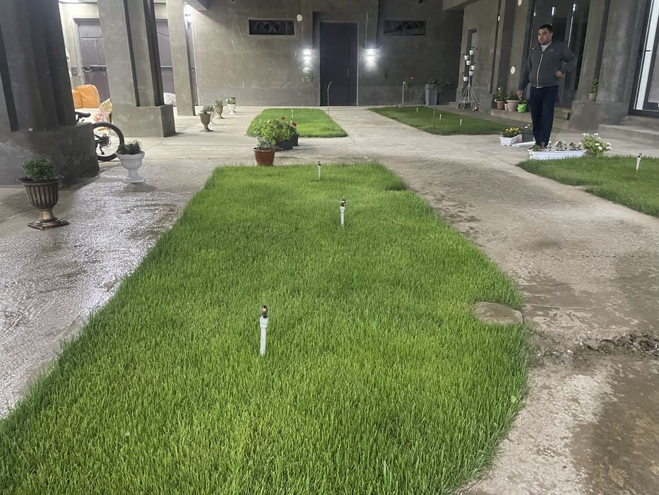 Газон,автополив,ланшафт