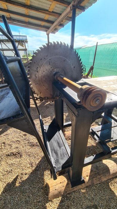 Circular cu motor trifazic