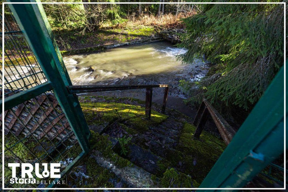 Cabană 210 m² + teren 1400 m² | Sălard, Mureș