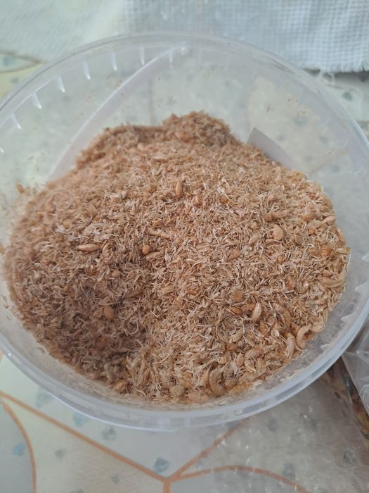 Растения и корм для рыб