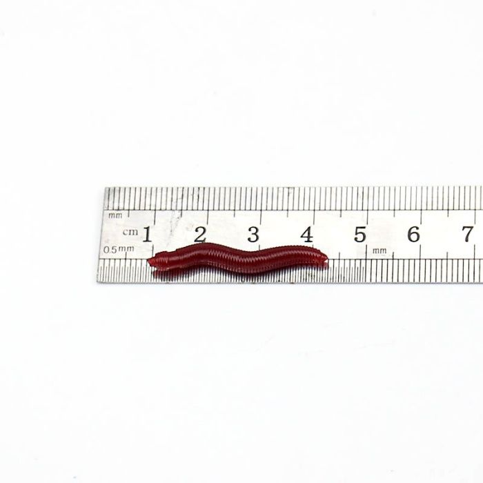 Рибарски примамки,стръв, силиконови скариди, червеи, царевица