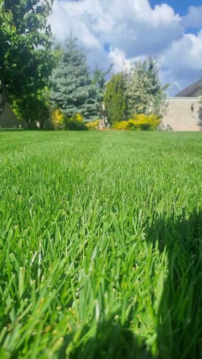 Amenajare curte,gazon rulou,insamantare