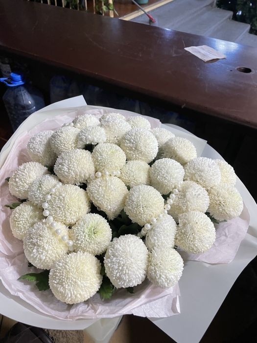 цветы карбышева