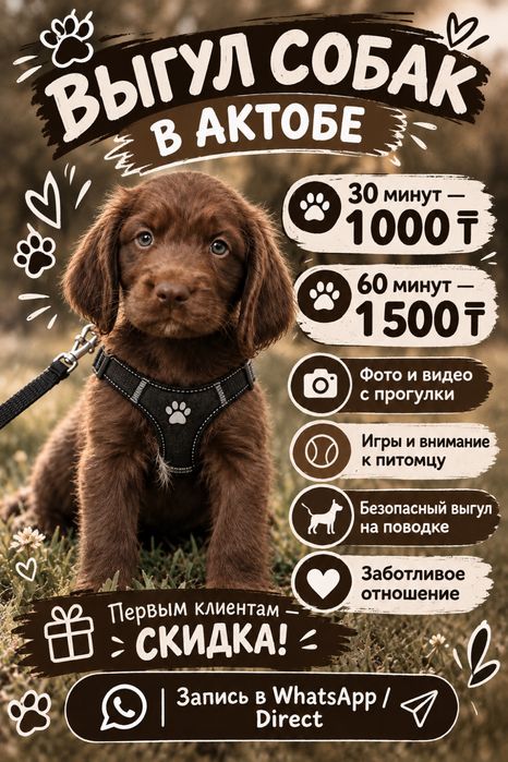 Выгул собак Актобе