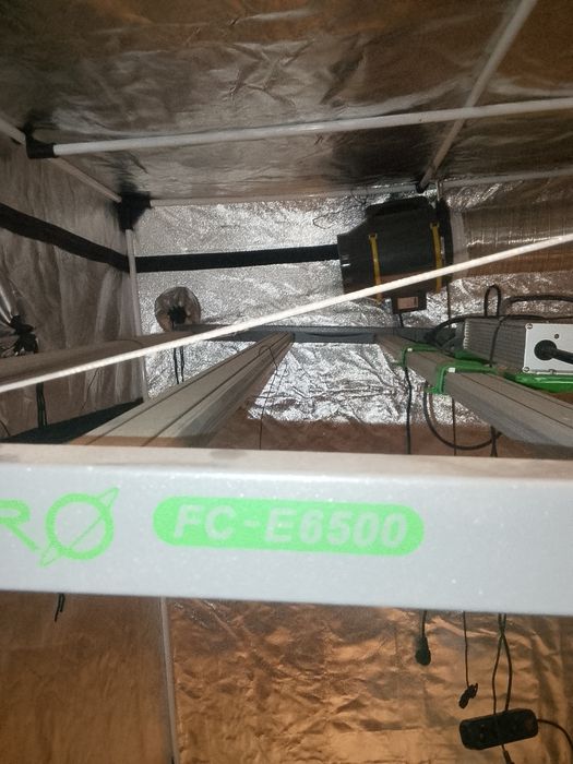 Гроубокс для выращивания растений