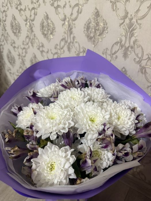 Продам живые  цветы