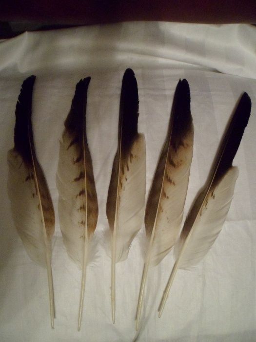 Перья Совы натуральные
