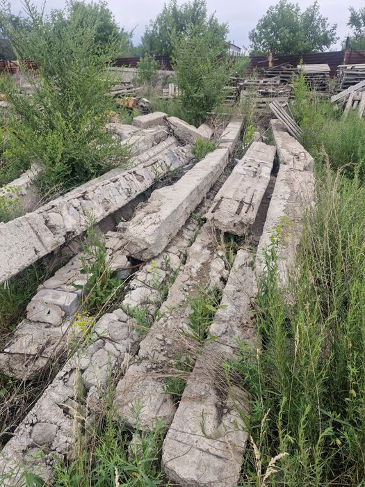 Отдам бесплатно в Косшы
