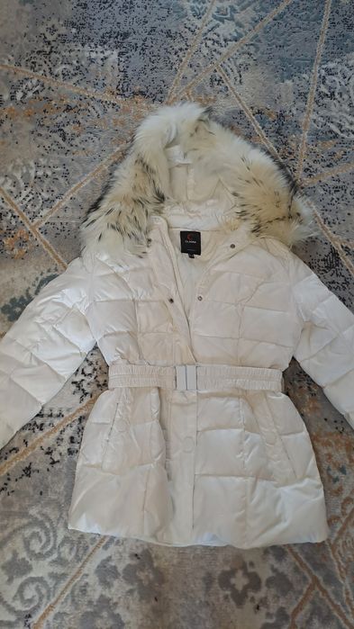 Куртки и пуховики