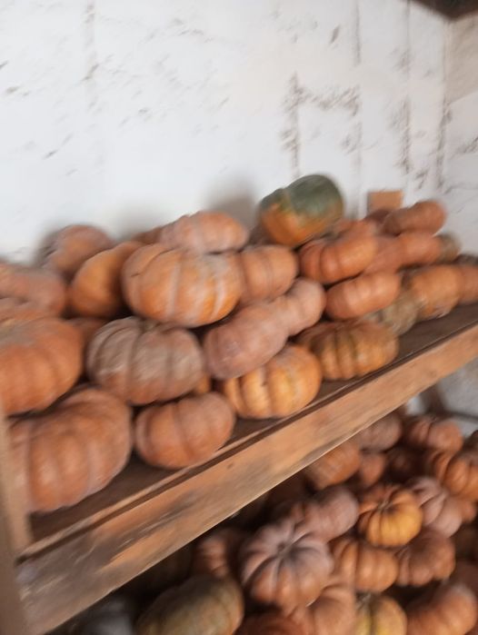 1)-Умный печка 2) Тыква