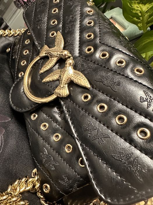 Pinko poseta de piele