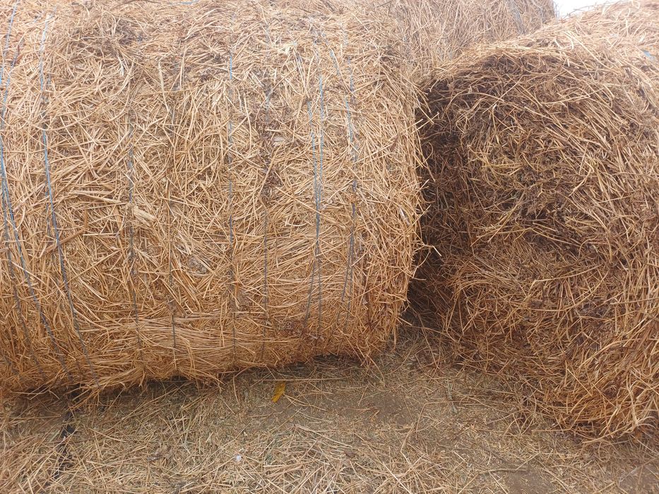 Baloti de lucerna 120/120