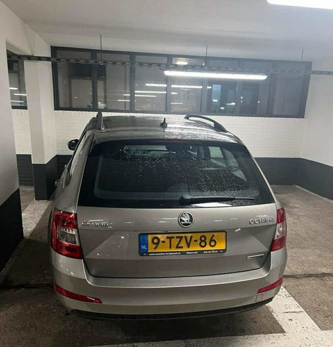 Skoda Octavia 3.