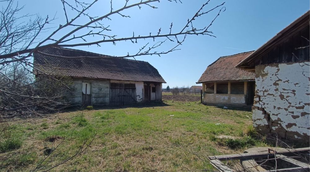 Vand teren intravilan cu casă. 6150mp