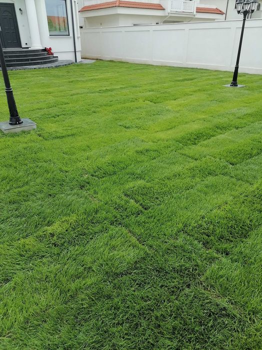 Gazon rulou si instalații de irigat