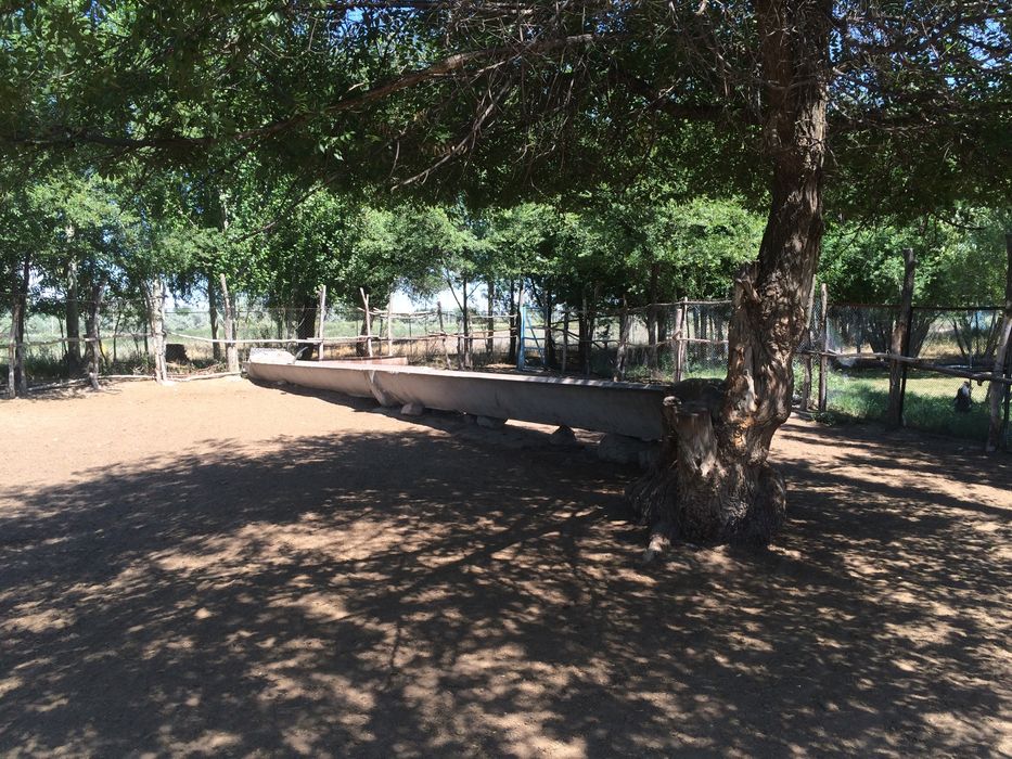 Продам участок,под ЛПХ,КХ