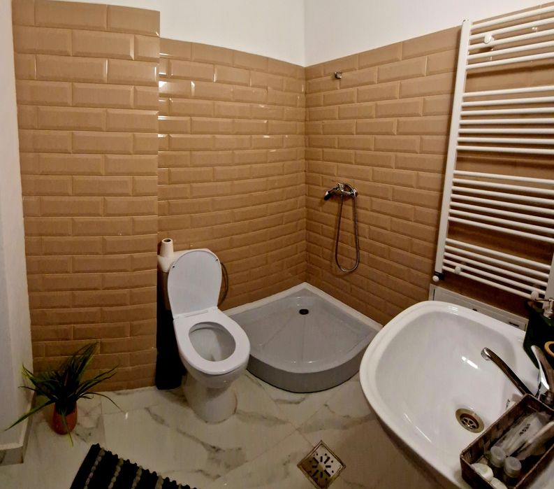 Cazare muncitori craiova