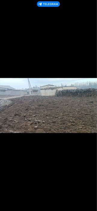 sotiladi 12 sotix uchaska boka bostonda