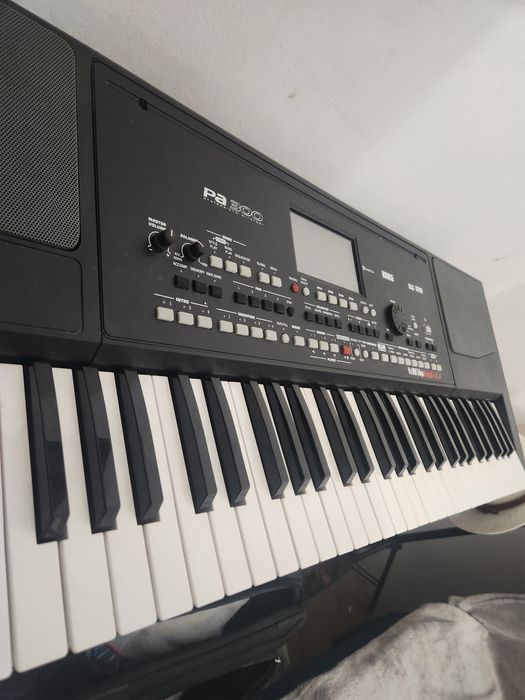 Korg pa300 secial.edition