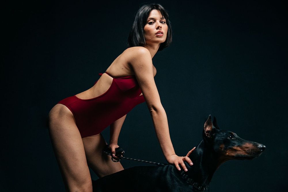 Доберман для фотосессии