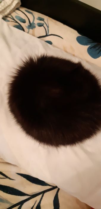 Caciula vulpe blana naturala