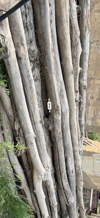 Тераклар сотилади