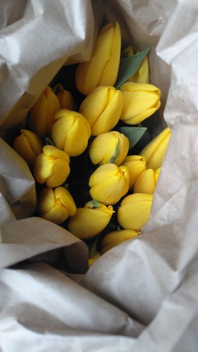 Тюльпаны ОПТОМ Розы Оптом