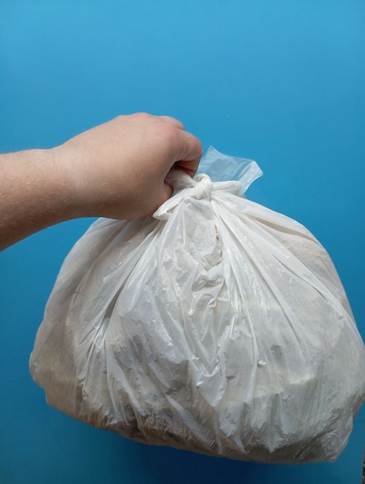 Выползки змеиные