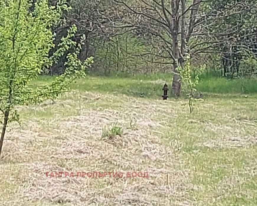 Продава се Парцел в с. Жедна, Област Перник - 800 кв.м за 13 €/кв.м - Снимка #2