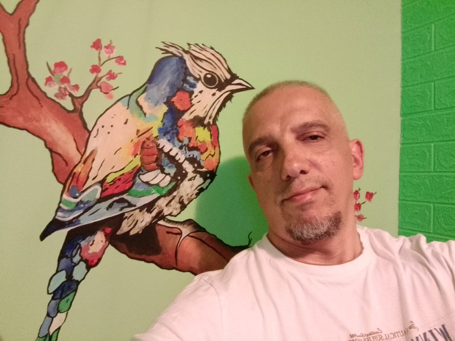 Рисунки на стени