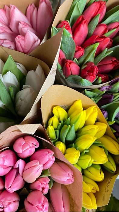 Тюльпаны оптом Караганда