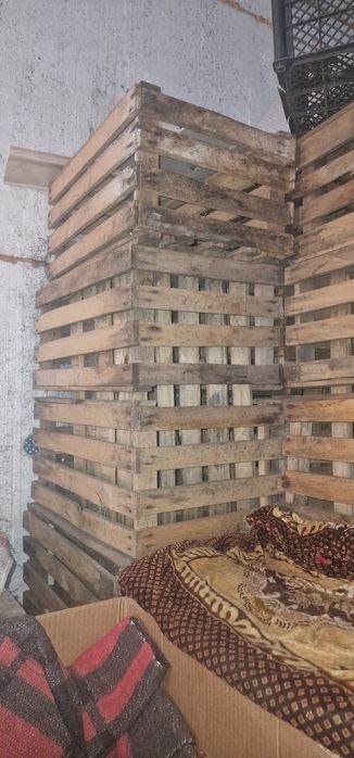 продам деревянные ящики под яблок