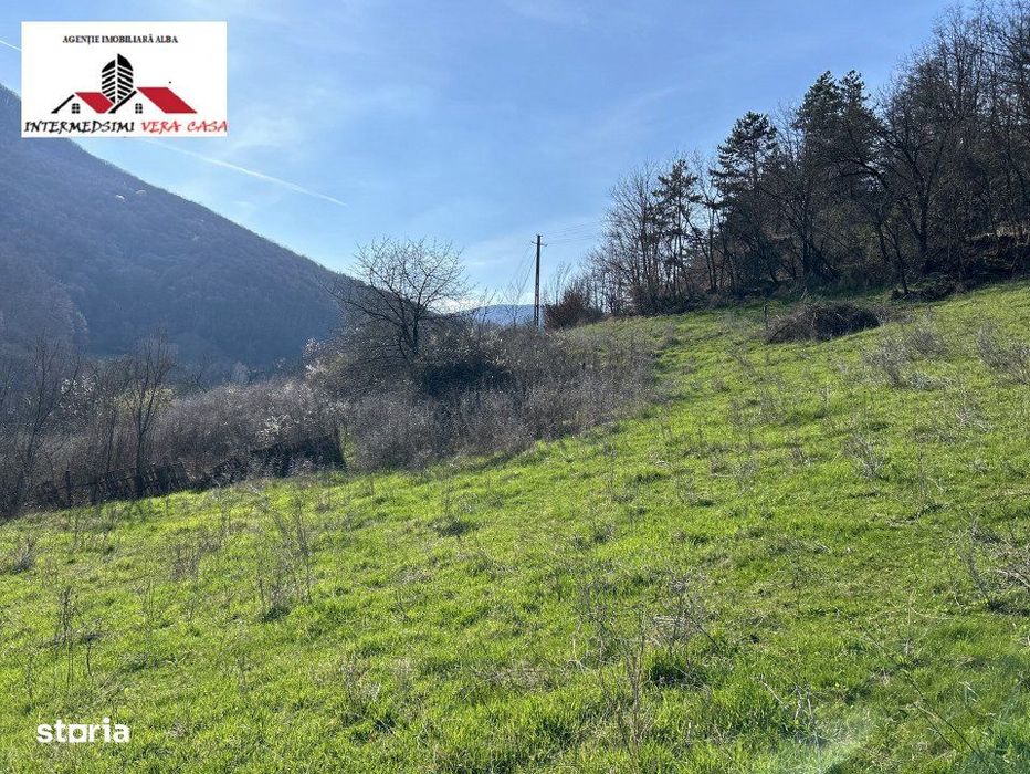 Teren intravilan - extravilan 9,3 Ha de vanzare Matacina Jud Alba