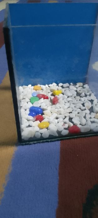 Аквариум  кубик 3 литра  за 3000