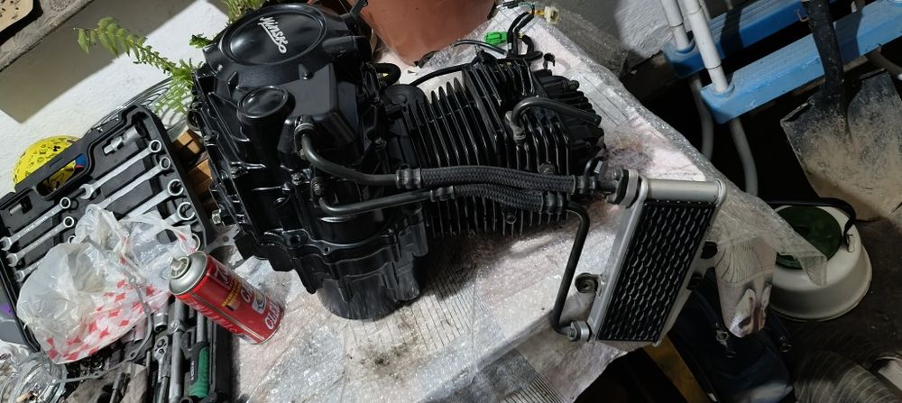 Двигатель Минск скремблер 250