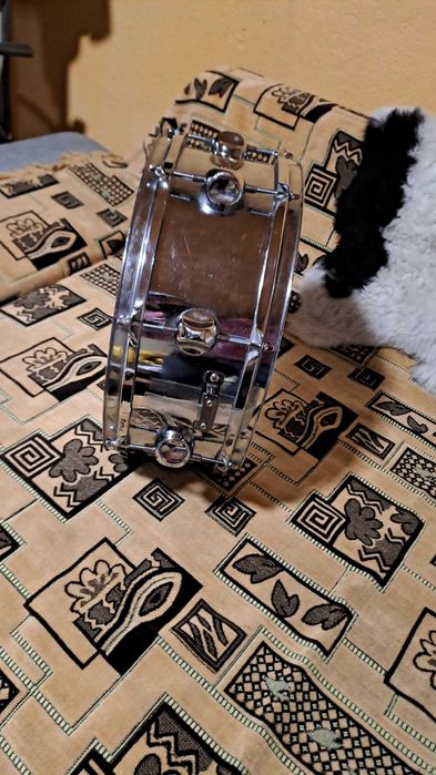 Premier tobe Pacific dw