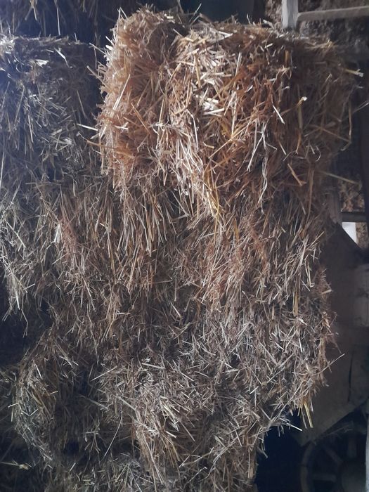 Baloți paie dreptunghiulari