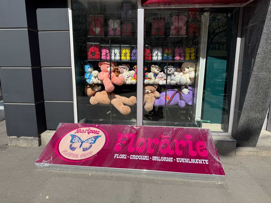 Casetă/reclamă luminoasă LED profesională, ideală pentru orice afacere