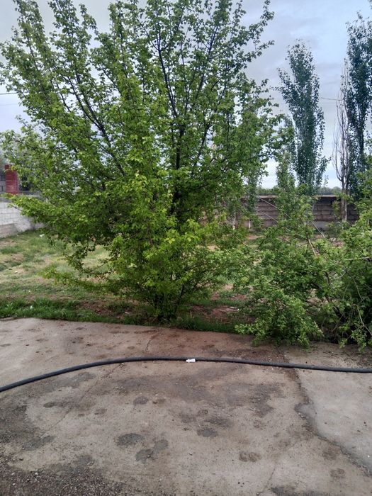 Үй сатылады срочно