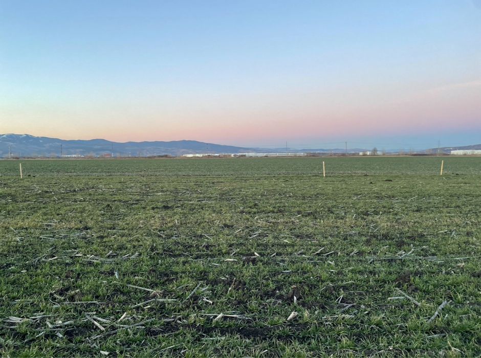 Teren extravilan Sebes, restaurant Mirage,Pianu - utilitati/curent/apa