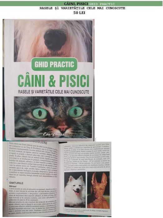 Cărți vechi, reviste