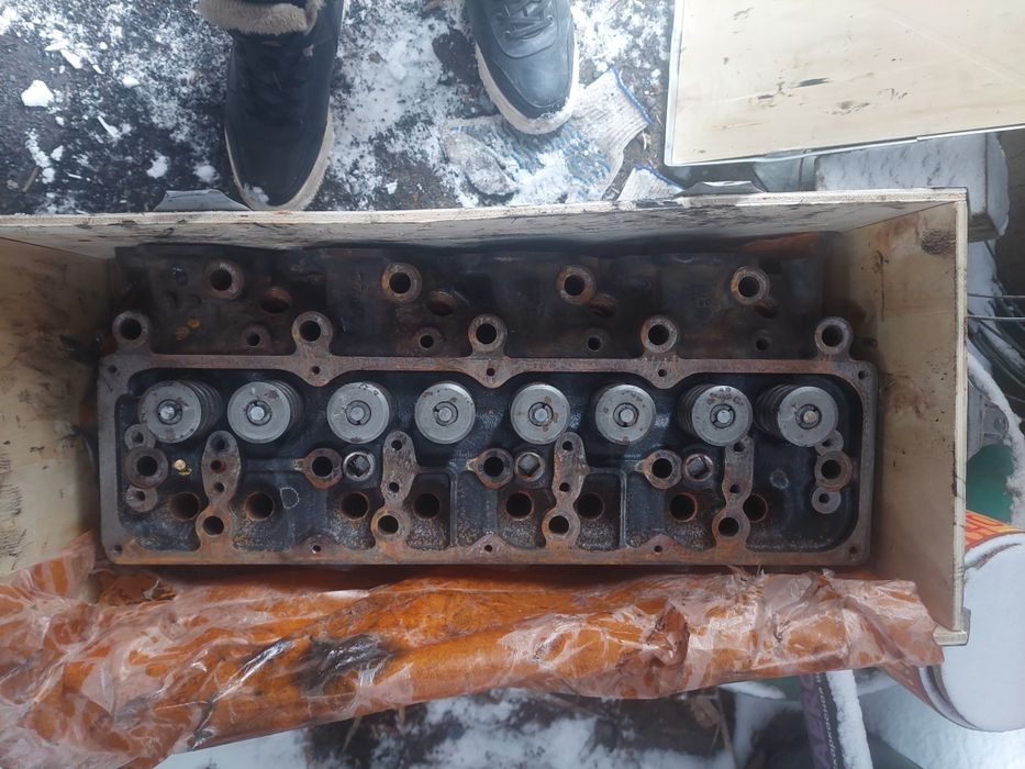 Головка на Терано