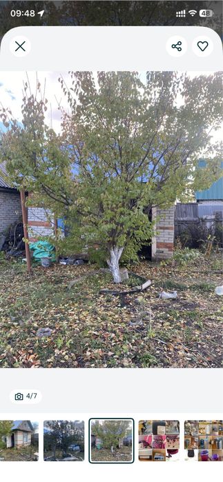 Садовая Общество Чапаева продается