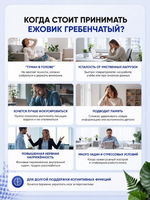Ежовик Гребенчатый | 120 капсул | 500мг